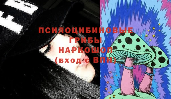 таблы Белокуриха