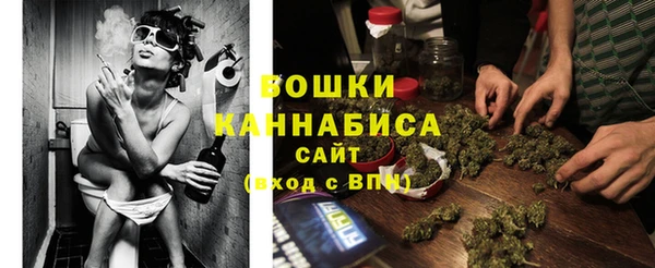 спайс Строитель