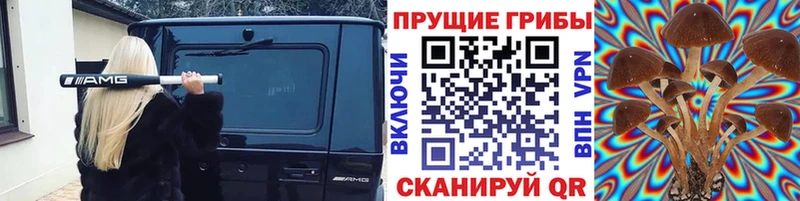 hydra как войти  Горнозаводск  Псилоцибиновые грибы мухоморы 